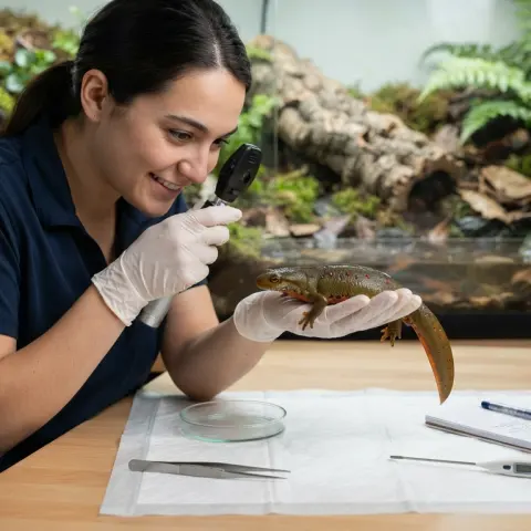 Salamander and Newt Wellness Checklist
